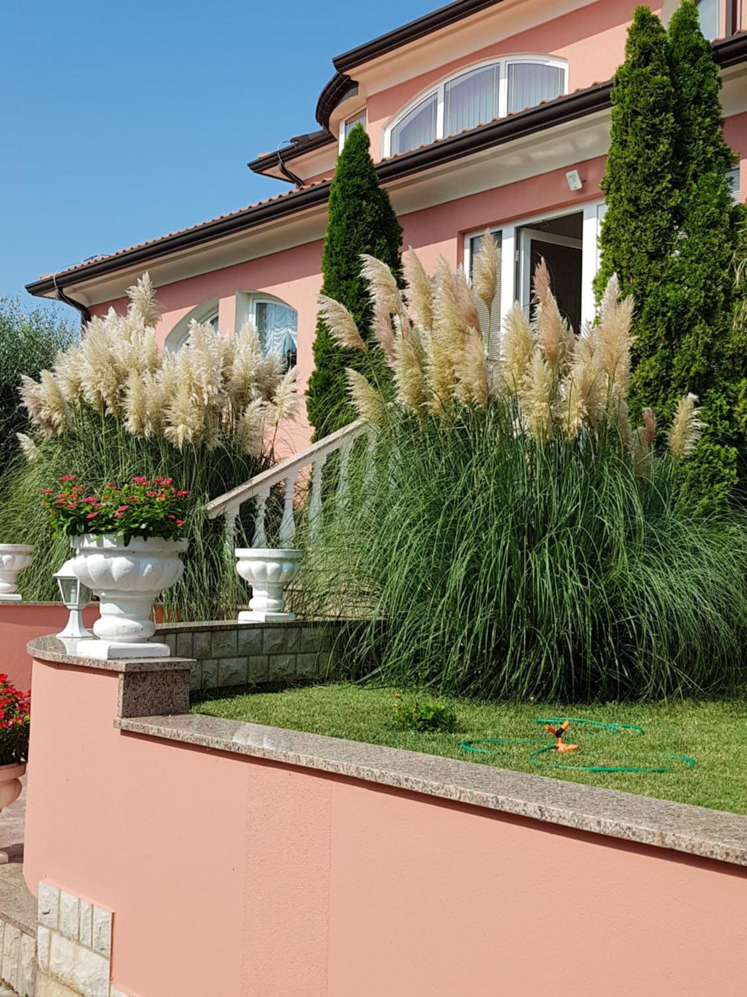 Apartments And Rooms Villa Chiara Крница Экстерьер фото